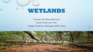 WETLANDS
Presenter: Mr. Bhartendu Vimal
Guest Faculty-Asst. Prof.
College of Fisheries, Kishanganj, BASU, Patna
 
