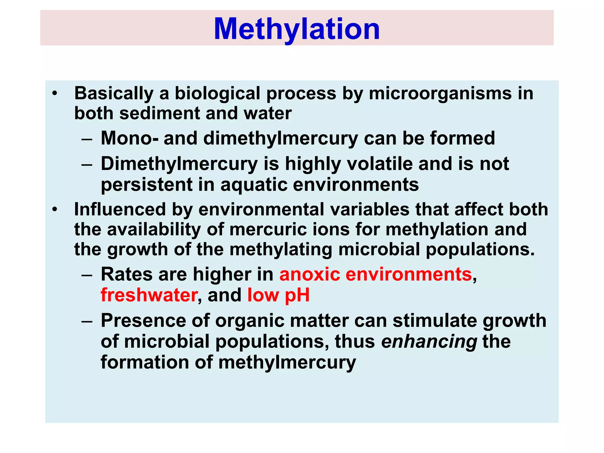 Methylation 
• Basically a biological process by microorganisms in 
both sediment and water 
– Mono- and dimethylmercury can be formed 
– Dimethylmercury is highly volatile and is not 
persistent in aquatic environments 
• Influenced by environmental variables that affect both 
the availability of mercuric ions for methylation and 
the growth of the methylating microbial populations. 
– Rates are higher in anoxic environments, 
freshwater, and low pH 
– Presence of organic matter can stimulate growth 
of microbial populations, thus enhancing the 
formation of methylmercury 
 