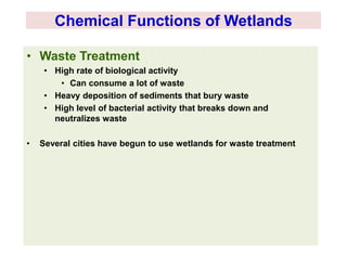 Biological Functions of Wetlands 
• Biological Production 
– 6.4% of the Earth’s surface  24% of total 
global productivi...