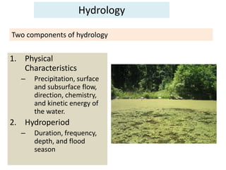 Hydrology 
Two components of hydrology 
1. Physical 
Characteristics 
– Precipitation, surface 
and subsurface flow, 
dire...