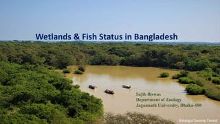 Wetlands & Fish Status in Bangladesh
Ratargul Swamp Forest
Sajib Biswas
Department of Zoology
Jagannath University, Dhaka-100
 