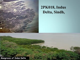 Ramsar Wetlands of pakistan | PPTX