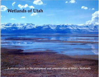 Utah Citizens Guide to Wetlands