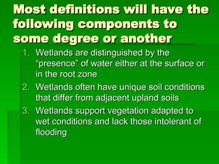 Wetlands Presentation Introduction slide | PPT