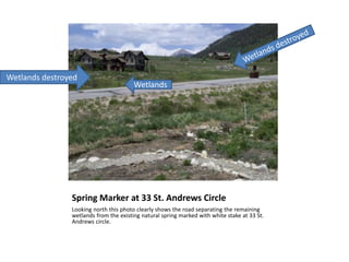 Spring Marker at 33 St. Andrews Circle
Looking north this photo clearly shows the road separating the remaining
wetlands from the existing natural spring marked with white stake at 33 St.
Andrews circle.
Wetlands
Wetlands destroyed
 