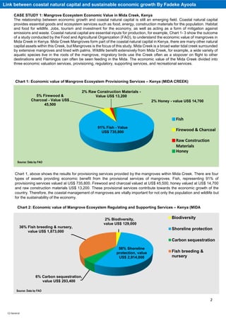 Coastal Natural Capital - How do we counteract coastal erosion, wetland