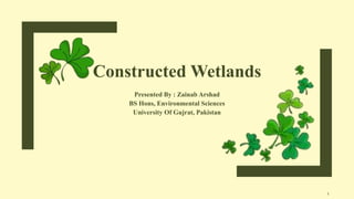 Constructed Wetlands
Presented By : Zainab Arshad
BS Hons, Environmental Sciences
University Of Gujrat, Pakistan
1
 