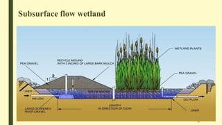 Constructed Wetlands | PPTX