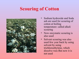 Scouring of Cotton 
• Sodium hydroxide and Soda 
ash are used for scouring of 
cotton at boiling 
temperature: called alkali 
scouring 
• Now enzymatic scouring is 
also used 
• Solvent scouring was also 
used few year back by using 
solvent by using 
trichloroethylene, which 
dissolve wax-But now it is 
not used 
 