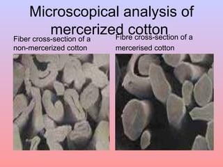 Microscopical analysis of 
mercerized cotton 
Fiber cross-section of a 
non-mercerized cotton 
Fibre cross-section of a 
mercerised cotton 
