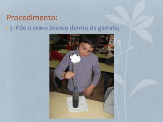 Procedimento:
• 3- Põe o cravo branco dentro da garrafa;
 