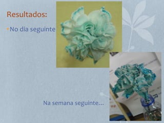 Resultados:
• No dia seguinte




            Na semana seguinte…
 
