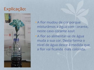 Explicação:

              • A flor mudou de cor porque
                misturámos a água com corante,
                neste caso corante azul:
              • A flor ao alimentar-se de água
                muda a sua cor. Desta forma o
                nível de água desce à medida que
                a flor vai ficando mais colorida.
 