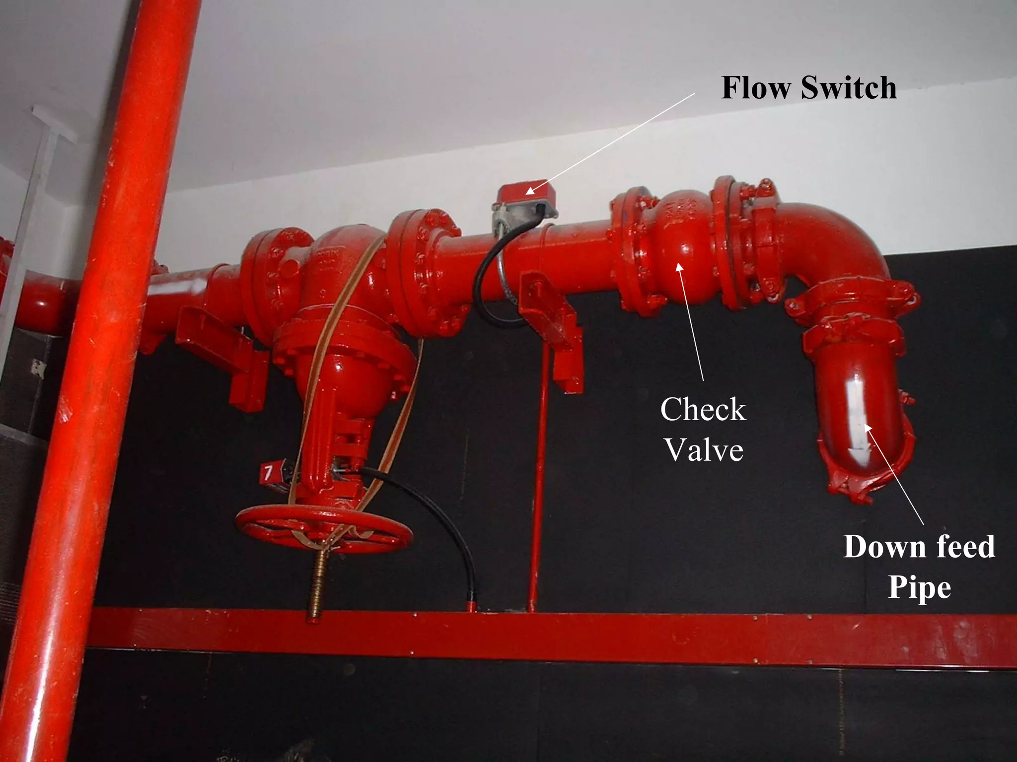 Check
Valve
Flow Switch
Down feed
Pipe
 