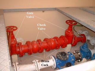 Check
Valve
Gate
Valve
Drain
Cock
 