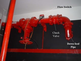 Check
Valve
Flow Switch
Down feed
Pipe
 
