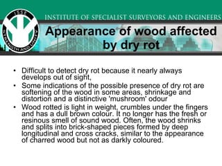 Wet rot no mould | PPT
