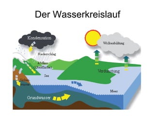 Der Wasserkreislauf 