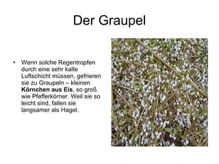 Der Graupel Wenn solche Regentropfen durch eine sehr kalte Luftschicht müssen, gefrieren sie zu Graupeln – kleinen  Körnchen aus Eis , so groß wie Pfefferkörner. Weil sie so leicht sind, fallen sie langsamer als Hagel.  