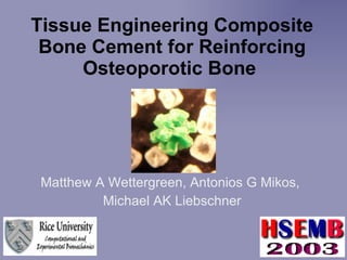 Tissue Engineering Composite Bone Cement for Reinforcing Osteoporotic Bone   Matthew A Wettergreen, Antonios G Mikos,  Michael AK Liebschner 