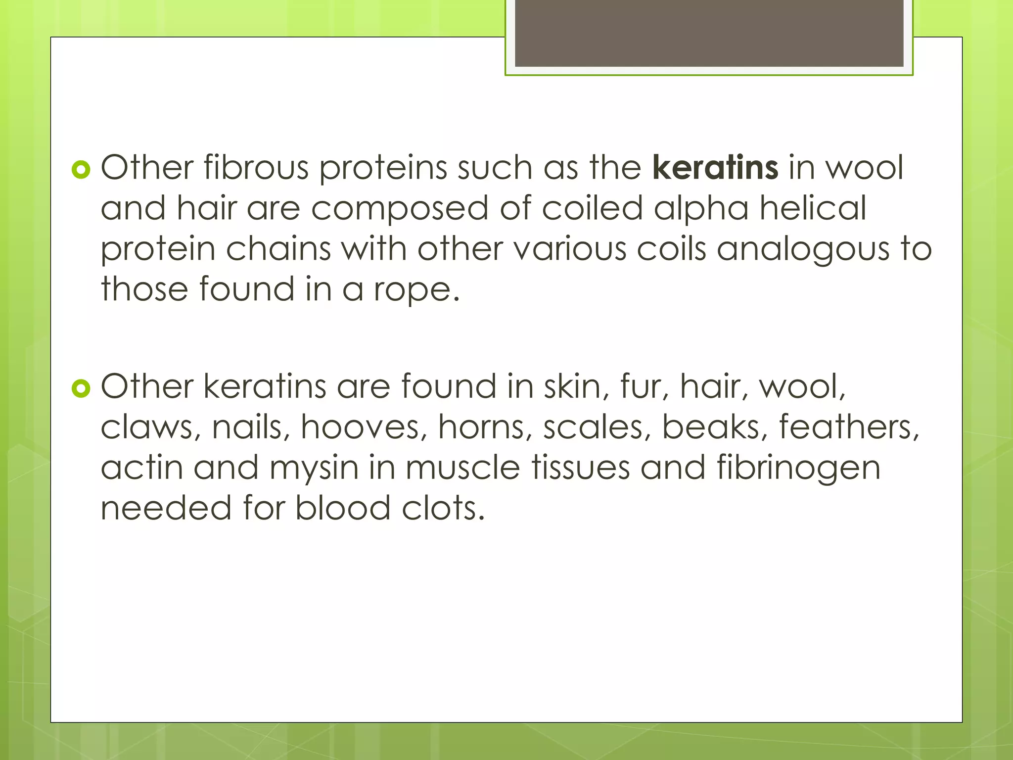 Other fibrous proteins such as the keratins in wool
and hair are composed of coiled alpha helical
protein chains with other various coils analogous to
those found in a rope.
 Other keratins are found in skin, fur, hair, wool,
claws, nails, hooves, horns, scales, beaks, feathers,
actin and mysin in muscle tissues and fibrinogen
needed for blood clots.
 