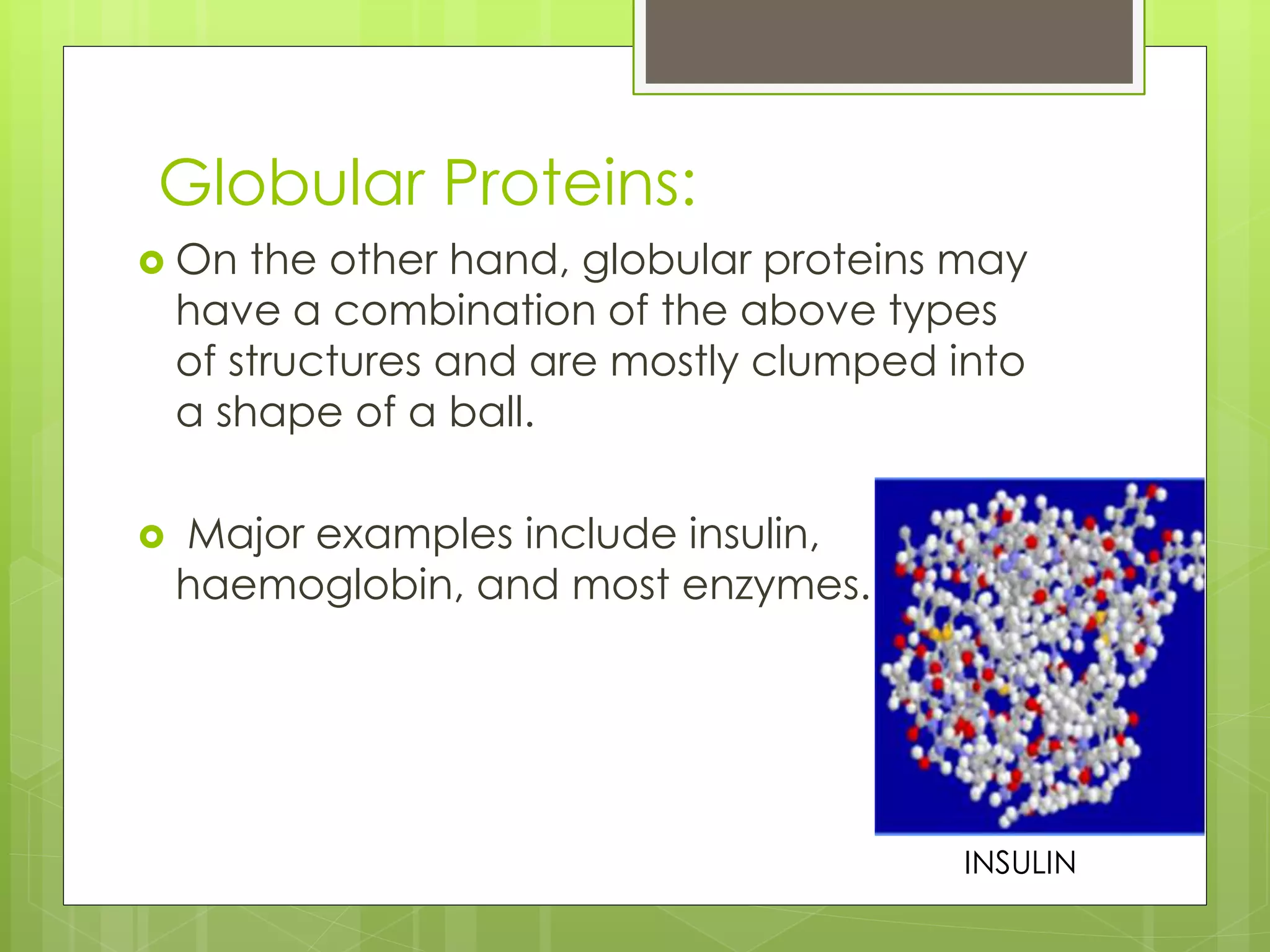 Globular Proteins:
 On the other hand, globular proteins may
have a combination of the above types
of structures and are mostly clumped into
a shape of a ball.
 Major examples include insulin,
haemoglobin, and most enzymes.
INSULIN
 