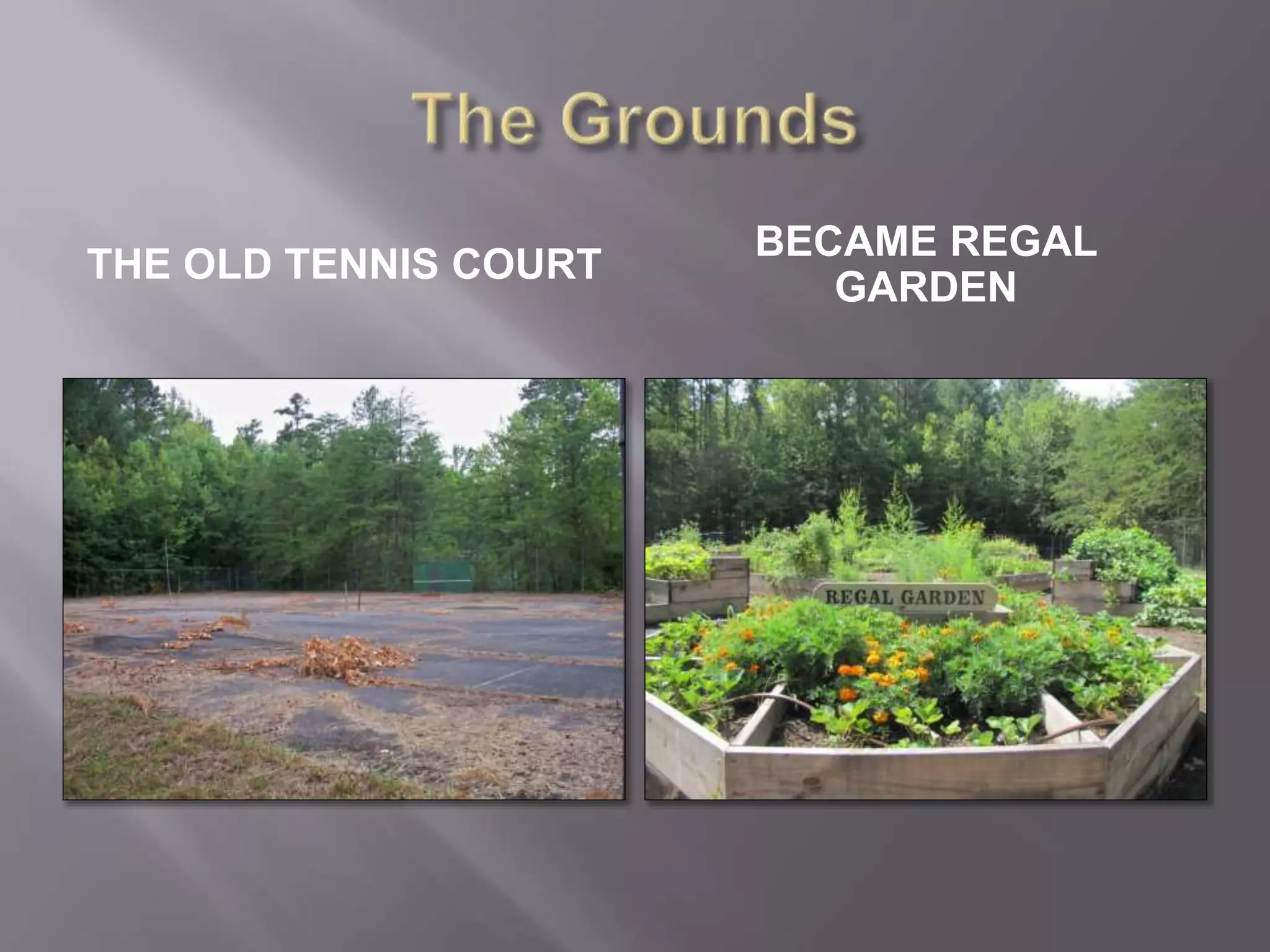 THE OLD TENNIS 
COURT 
BECAME REGAL 
GARDEN 
 