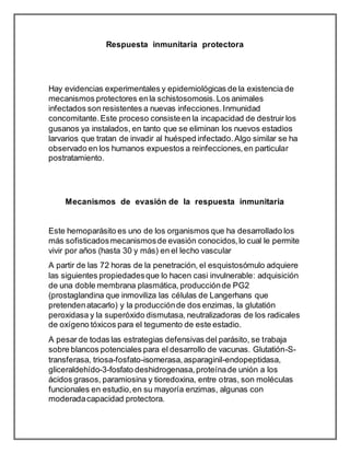Respuesta inmunitaria protectora
Hay evidencias experimentales y epidemiológicas de la existencia de
mecanismos protectores enla schistosomosis.Los animales
infectados son resistentes a nuevas infecciones.Inmunidad
concomitante.Este proceso consisteen la incapacidad de destruir los
gusanos ya instalados, en tanto que se eliminan los nuevos estadios
larvarios que tratan de invadir al huésped infectado.Algo similar se ha
observado en los humanos expuestos a reinfecciones,en particular
postratamiento.
Mecanismos de evasión de la respuesta inmunitaria
Este hemoparásito es uno de los organismos que ha desarrollado los
más sofisticadosmecanismosde evasión conocidos,lo cual le permite
vivir por años (hasta 30 y más) en el lecho vascular
A partir de las 72 horas de la penetración, el esquistosómulo adquiere
las siguientes propiedadesque lo hacen casi invulnerable: adquisición
de una doble membrana plasmática, producciónde PG2
(prostaglandina que inmoviliza las células de Langerhans que
pretendenatacarlo) y la producciónde dos enzimas, la glutatión
peroxidasa y la superóxido dismutasa, neutralizadoras de los radicales
de oxígeno tóxicos para el tegumento de este estadio.
A pesar de todas las estrategias defensivas del parásito, se trabaja
sobre blancos potenciales para el desarrollo de vacunas. Glutatión-S-
transferasa, triosa-fosfato-isomerasa,asparaginil-endopeptidasa,
gliceraldehído-3-fosfato deshidrogenasa,proteínade unión a los
ácidos grasos, paramiosina y tioredoxina, entre otras, son moléculas
funcionales en estudio,en su mayoría enzimas, algunas con
moderadacapacidad protectora.
 