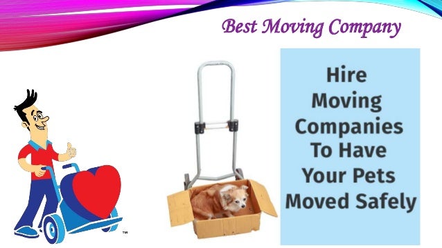 luggage moving company