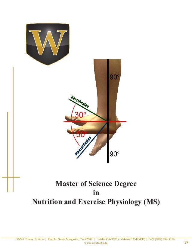 sport psychology masters programs