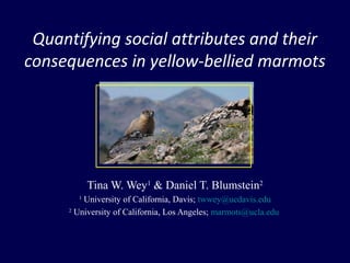 Quantifying social attributes and their
consequences in yellow-bellied marmots
Tina W. Wey1
& Daniel T. Blumstein2
1
University of California, Davis; twwey@ucdavis.edu
2
University of California, Los Angeles; marmots@ucla.edu
Tom Uhlman
 