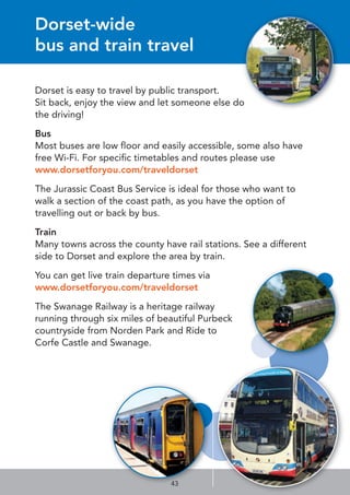 Dorset-wide
bus and train travel
Dorset is easy to travel by public transport.
Sit back, enjoy the view and let someone else do
the driving!
Bus
Most buses are low floor and easily accessible, some also have
free Wi-Fi. For specific timetables and routes please use
www.dorsetforyou.com/traveldorset
The Jurassic Coast Bus Service is ideal for those who want to
walk a section of the coast path, as you have the option of
travelling out or back by bus.
Train
Many towns across the county have rail stations. See a different
side to Dorset and explore the area by train.
You can get live train departure times via
www.dorsetforyou.com/traveldorset
The Swanage Railway is a heritage railway
running through six miles of beautiful Purbeck
countryside from Norden Park and Ride to
Corfe Castle and Swanage.
43
 