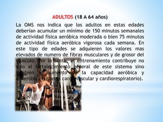 ADULTOS (18 A 64 años)
La OMS nos indica que los adultos en estas edades
deberían acumular un mínimo de 150 minutos semanales
de actividad física aeróbica moderada o bien 75 minutos
de actividad física aeróbica vigorosa cada semana. En
este tipo de edades se adquieren los valores mas
elevados de numero de fibras musculares y de grosor del
musculo. Por lo tanto, el entrenamiento contribuye no
solo al fortalecimiento general de este sistema sino
también al aumento de la capacidad aeróbica y
anaeróbica (sistema cardiovascular y cardiorespiratorio).
 