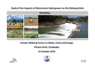 Greater Mekong Forum on Water, Food and Energy:
Phnom Penh, Cambodia,
21 October 2015
Study of the Impacts of Mainstream Hydropower on the Mekong Delta
Modelling
 