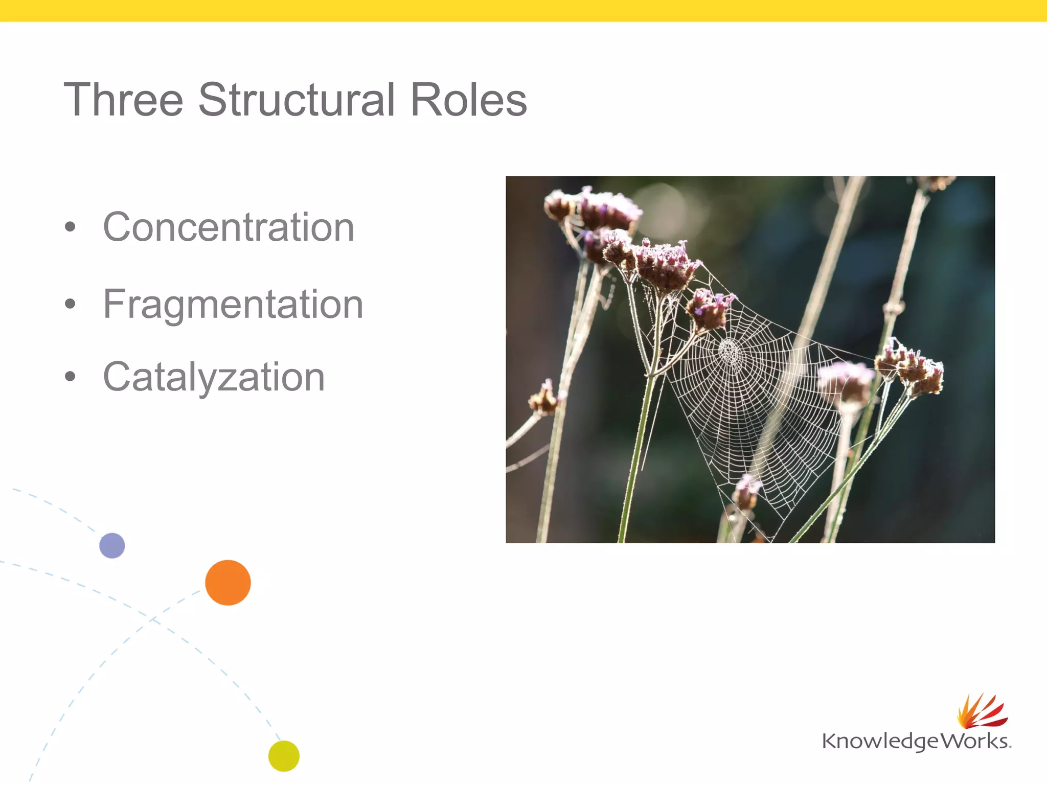Three Structural Roles
•  Concentration
•  Fragmentation
•  Catalyzation
 