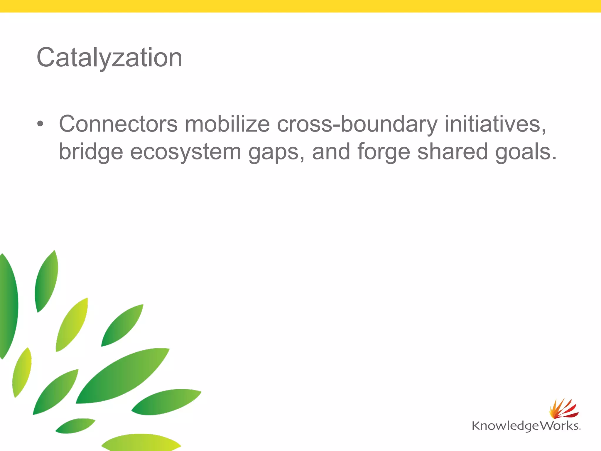 Catalyzation
•  Connectors mobilize cross-boundary initiatives,
bridge ecosystem gaps, and forge shared goals.
 