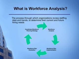 Workforce Analysis Presentation | PPT