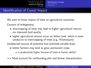 The Contribution of Trees to Livelihoods: A Panel Analysis of Living Standards Surveys in Tanzania