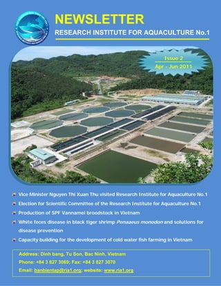 Address: Dinh bang, Tu Son, Bac Ninh, Vietnam
Phone: +84 3 827 3069; Fax: +84 3 827 3070
Email: banbientap@ria1.org; website: www.ria1.org
Vice Minister Nguyen Thi Xuan Thu visited Research Institute for Aquaculture No.1
Election for Scientific Committee of the Research Institute for Aquaculture No.1
Production of SPF Vannamei broodstock in Vietnam
White feces disease in black tiger shrimp Penaaeus monodon and solutions for
disease prevention
Capacity building for the development of cold water fish farming in Vietnam
NEWSLETTER
RESEARCH INSTITUTE FOR AQUACULTURE No.1
Issue 2
Apr - Jun 2011
 