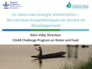 Le nexus eau-énergie-alimentation :
des services écosystémiques au service du
              développement

              Alain Vidal, Directeur
   CGIAR Challenge Program on Water and Food
 