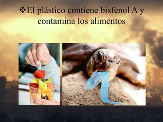 El plástico contiene bisfenol A y
contamina los alimentos