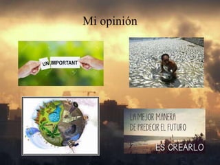 Mi opinión
 