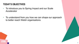 Wales Funders Forum Spring Impact | PPT