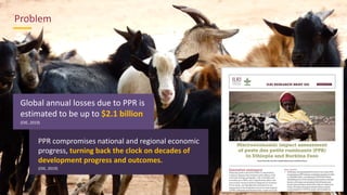 Call For Action: Eradicate peste des petits ruminants and improve the livelihood of smallholder farmers in developing countries―Evidence from Senegal