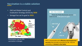 Call For Action: Eradicate peste des petits ruminants and improve the livelihood of smallholder farmers in developing countries―Evidence from Senegal