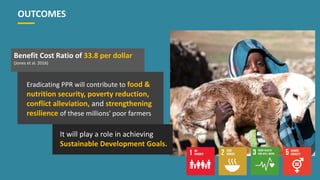 Call For Action: Eradicate peste des petits ruminants and improve the livelihood of smallholder farmers in developing countries―Evidence from Senegal