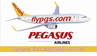 PegasusBiletHattı(0850)8404831
 