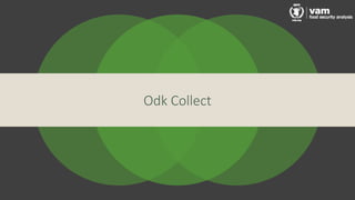 Odk Collect
 