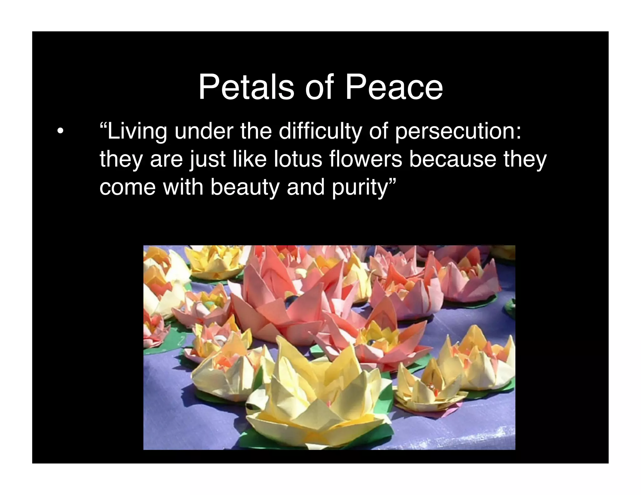 Petals of Peace!
•    “Living under the difﬁculty of persecution:
     they are just like lotus ﬂowers because they
     come with beauty and purity”!
 