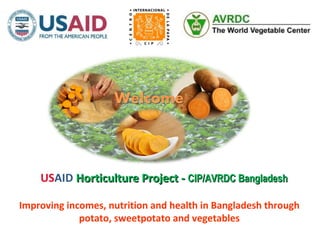 Improving incomes, nutrition and health in Bangladesh through
potato, sweetpotato and vegetables
USAID Horticulture Project -Horticulture Project - CIP/AVRDC BangladeshCIP/AVRDC Bangladesh
 